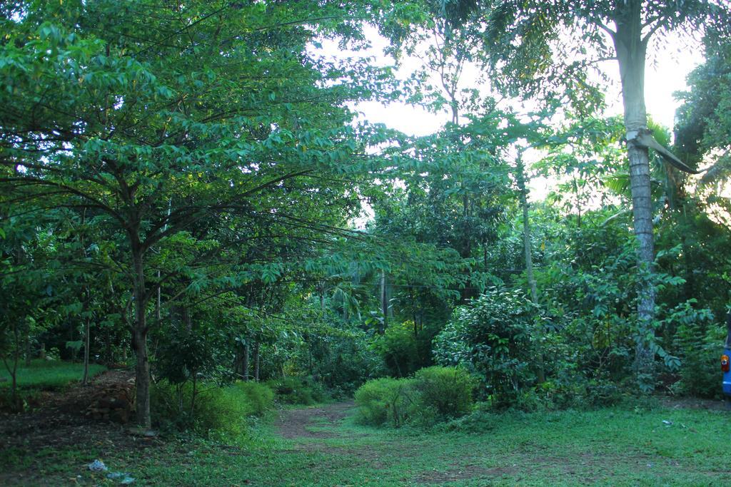 Abberny Villa Midigama East Oda fotoğraf